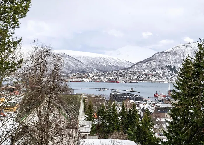 Charming Arctic L Amazing View L *